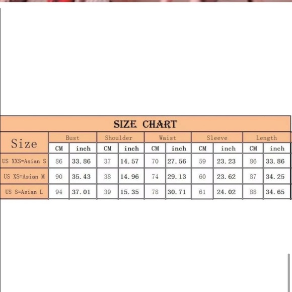 Saffron Burnout Floral Silk Blend Dress - M, NWT - Picture 14 of 14